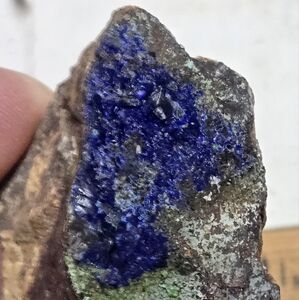 Natural Blue Linarite Specimen